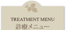 TREATMENT MENU 診療メニュー